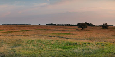 Hortobagy national park